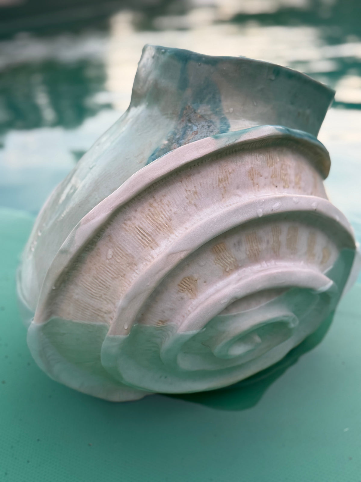 NAUTILUS 🐌🐚