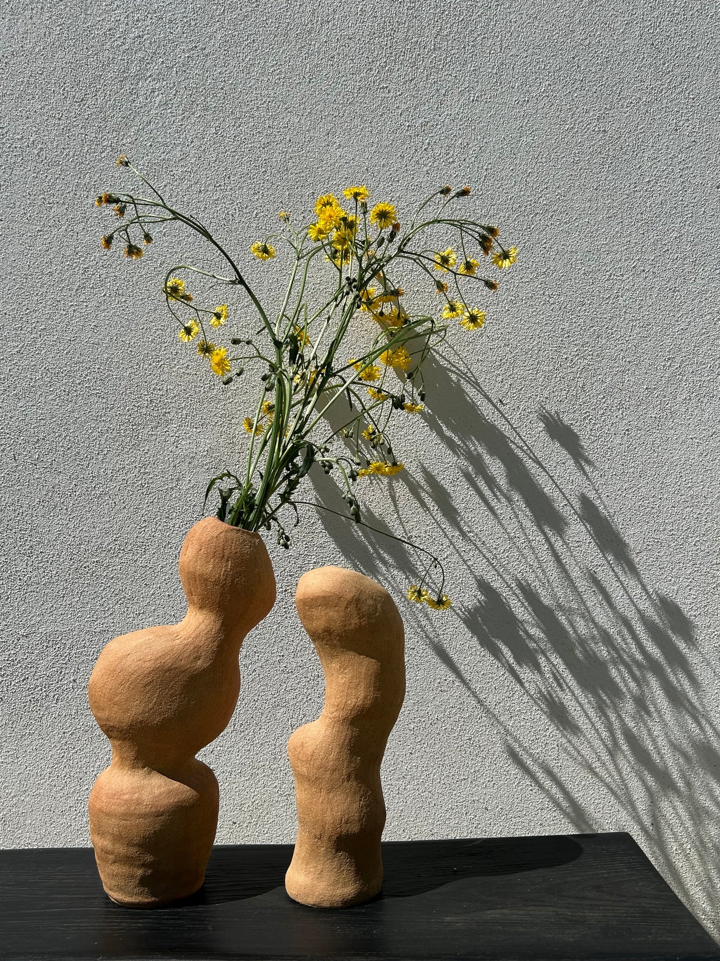 MR Céramique - Sculpture/Vase - Les Formes du Vivant II. Le Duo