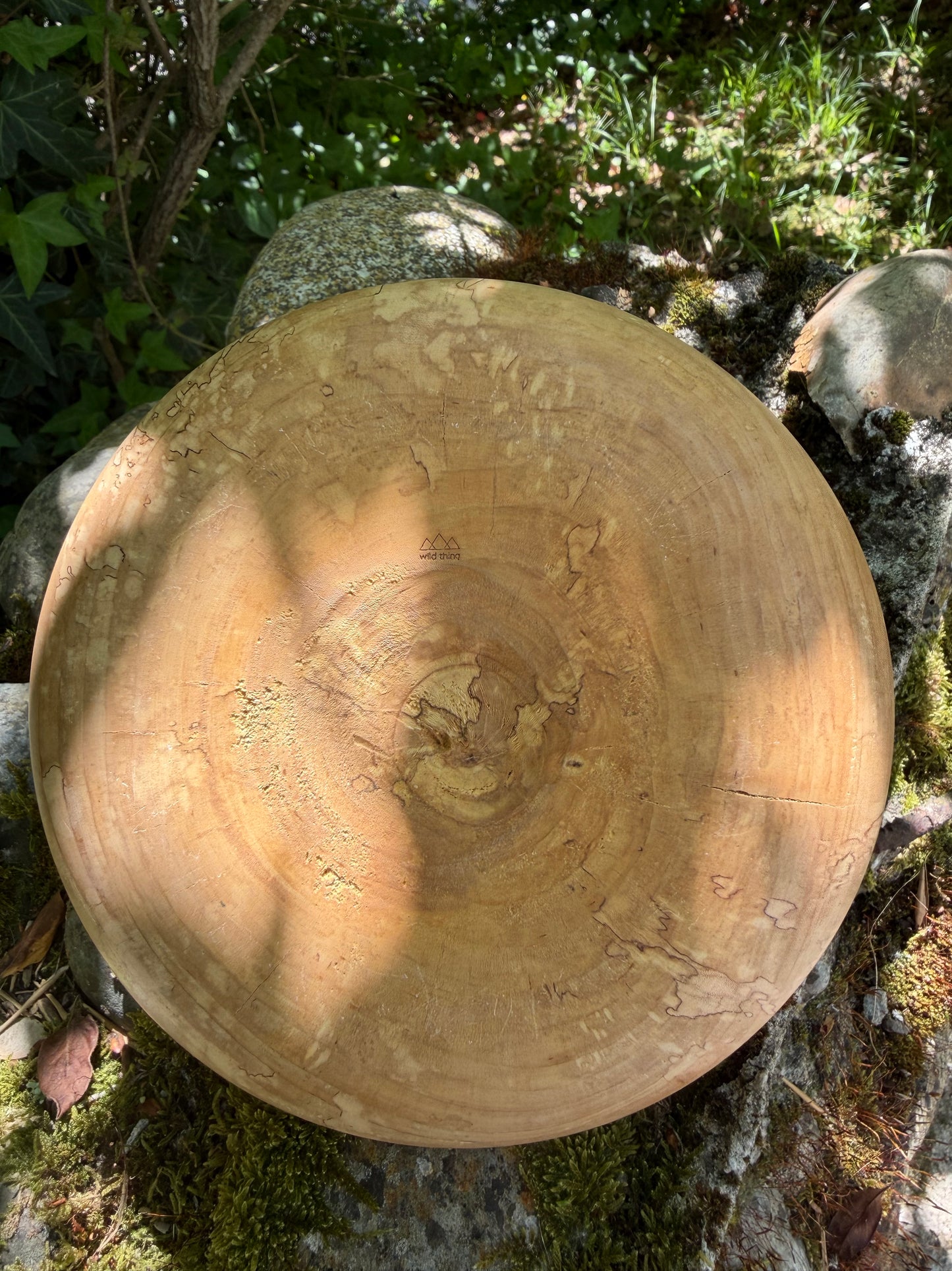 Lorien Cau - Vase - Bois de Bouleau Échauffé