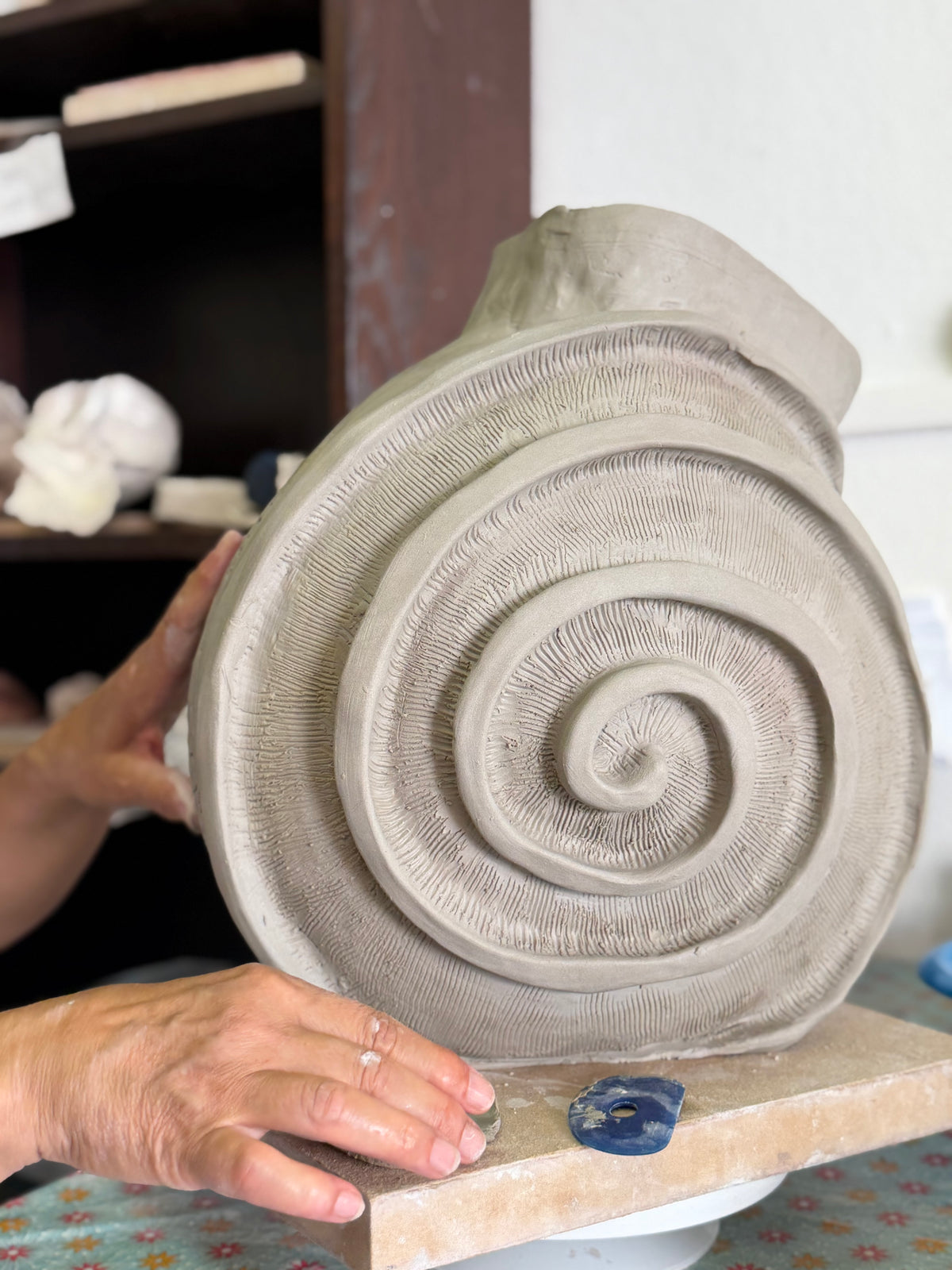 NAUTILUS 🐌🐚