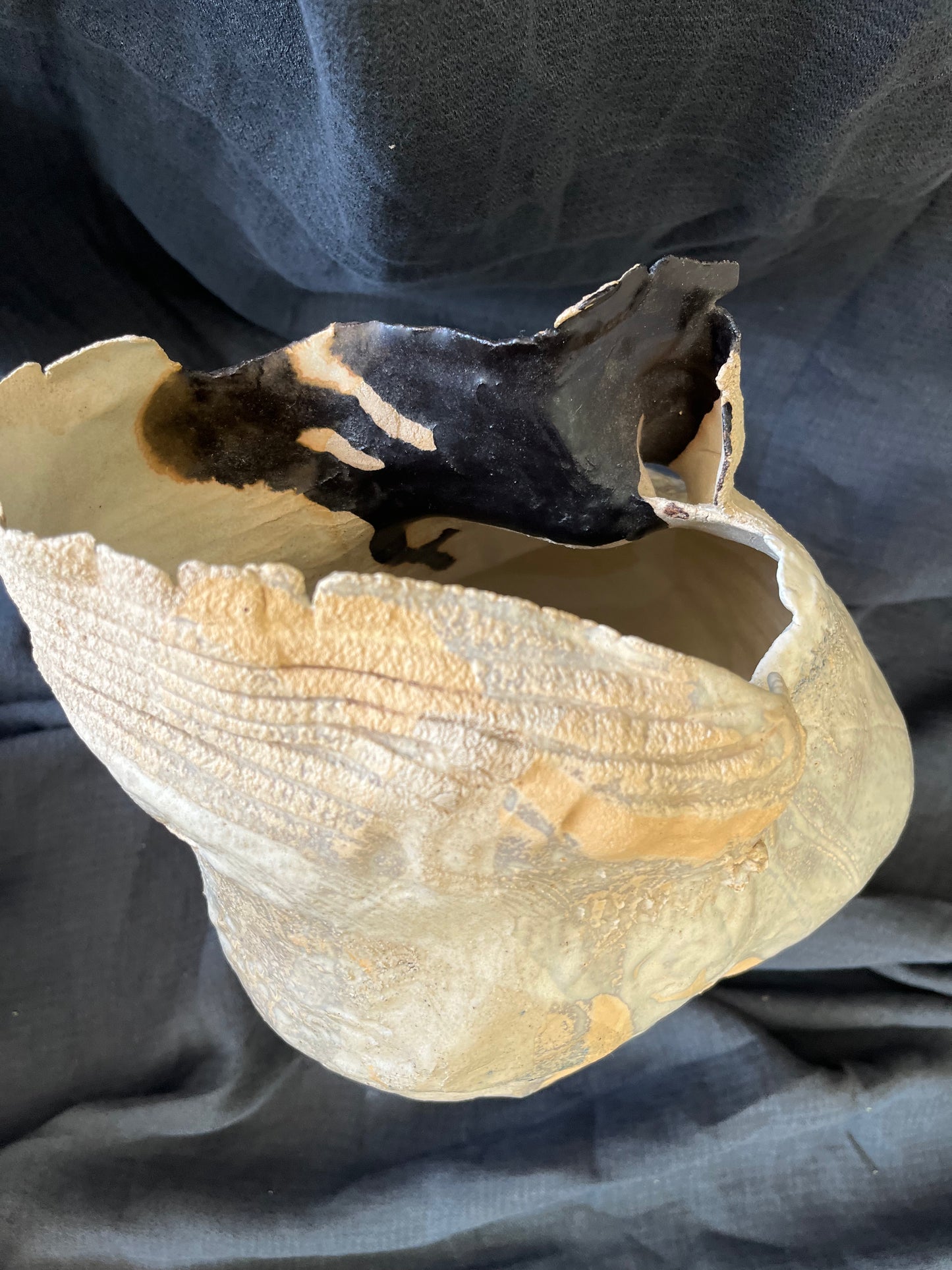 Muriel Senaux - Vase - Drapé