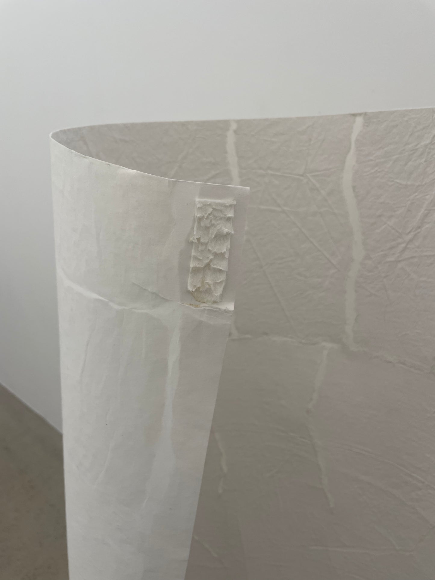 Modèle d'expo - Papier Peint Elitis- Épure Satoyama Troublante Transparence