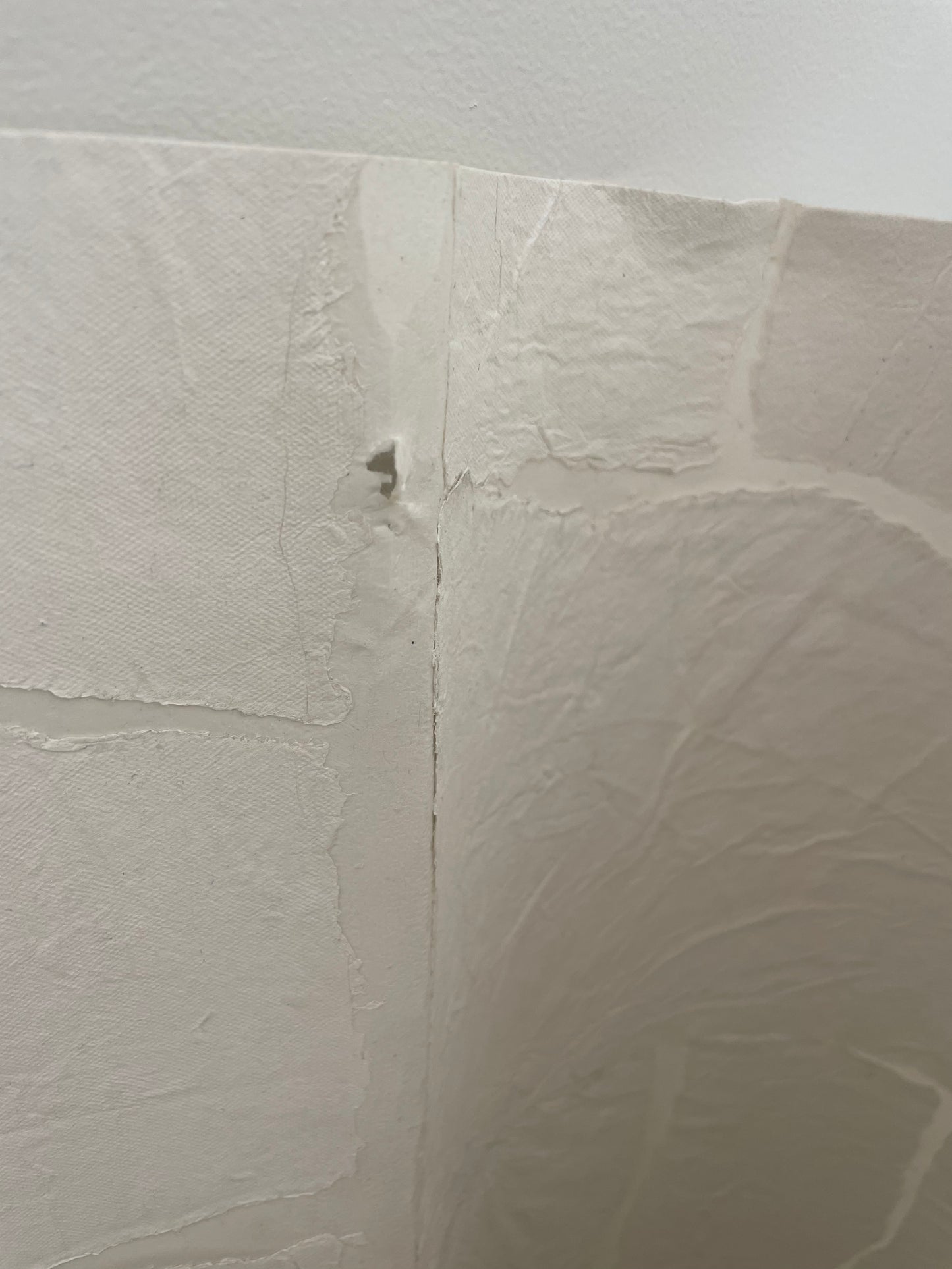 Modèle d'expo - Papier Peint Elitis- Épure Satoyama Troublante Transparence