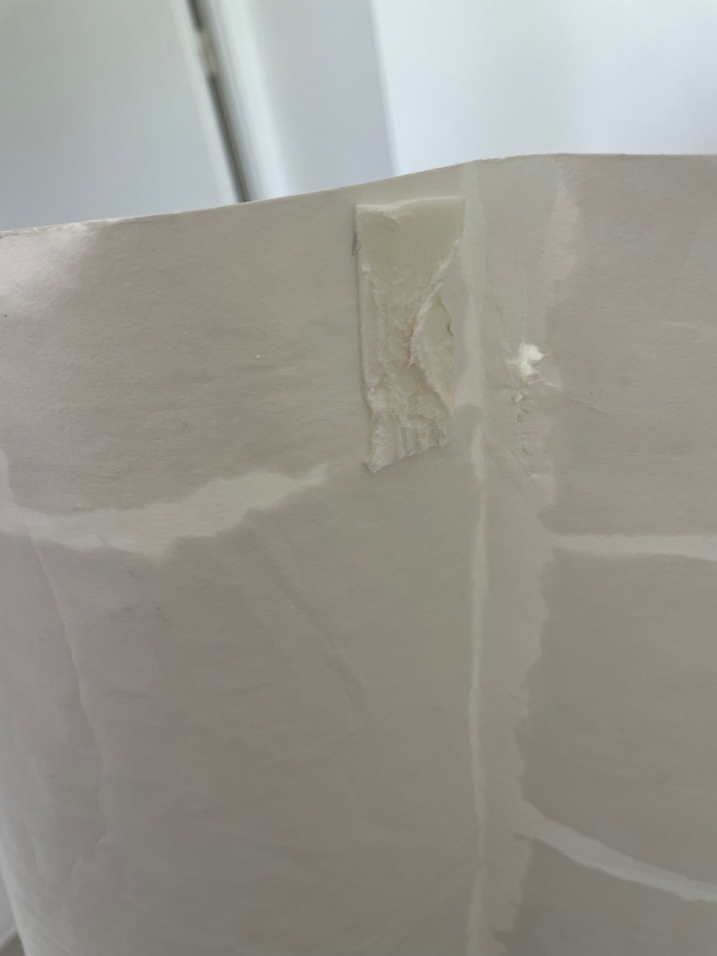 Modèle d'expo - Papier Peint Elitis- Épure Satoyama Troublante Transparence