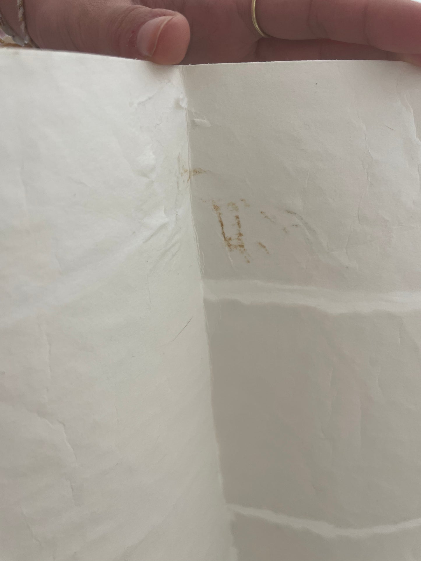 Modèle d'expo - Papier Peint Elitis- Épure Satoyama Troublante Transparence