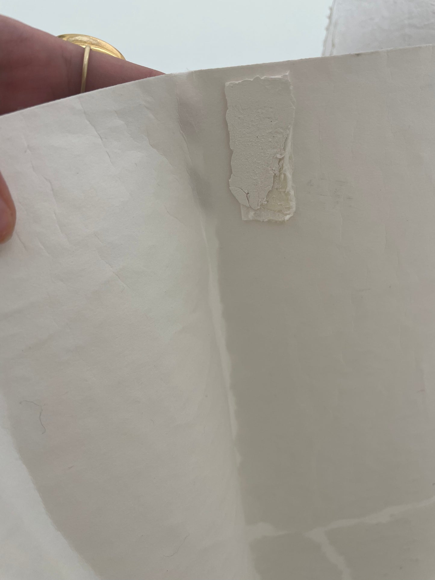 Modèle d'expo - Papier Peint Elitis- Épure Satoyama Troublante Transparence