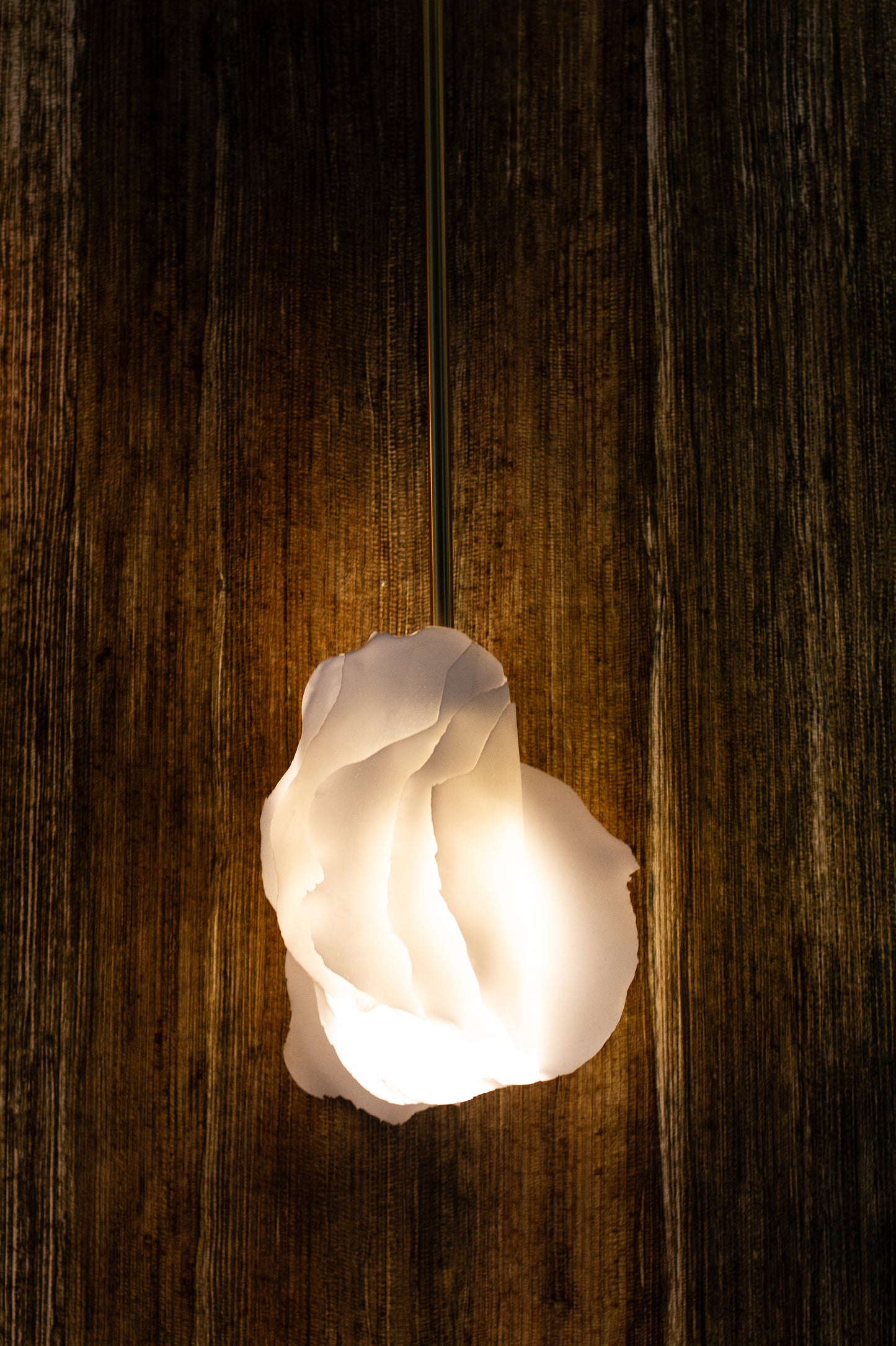 Studio MU - Suspension - Fungia