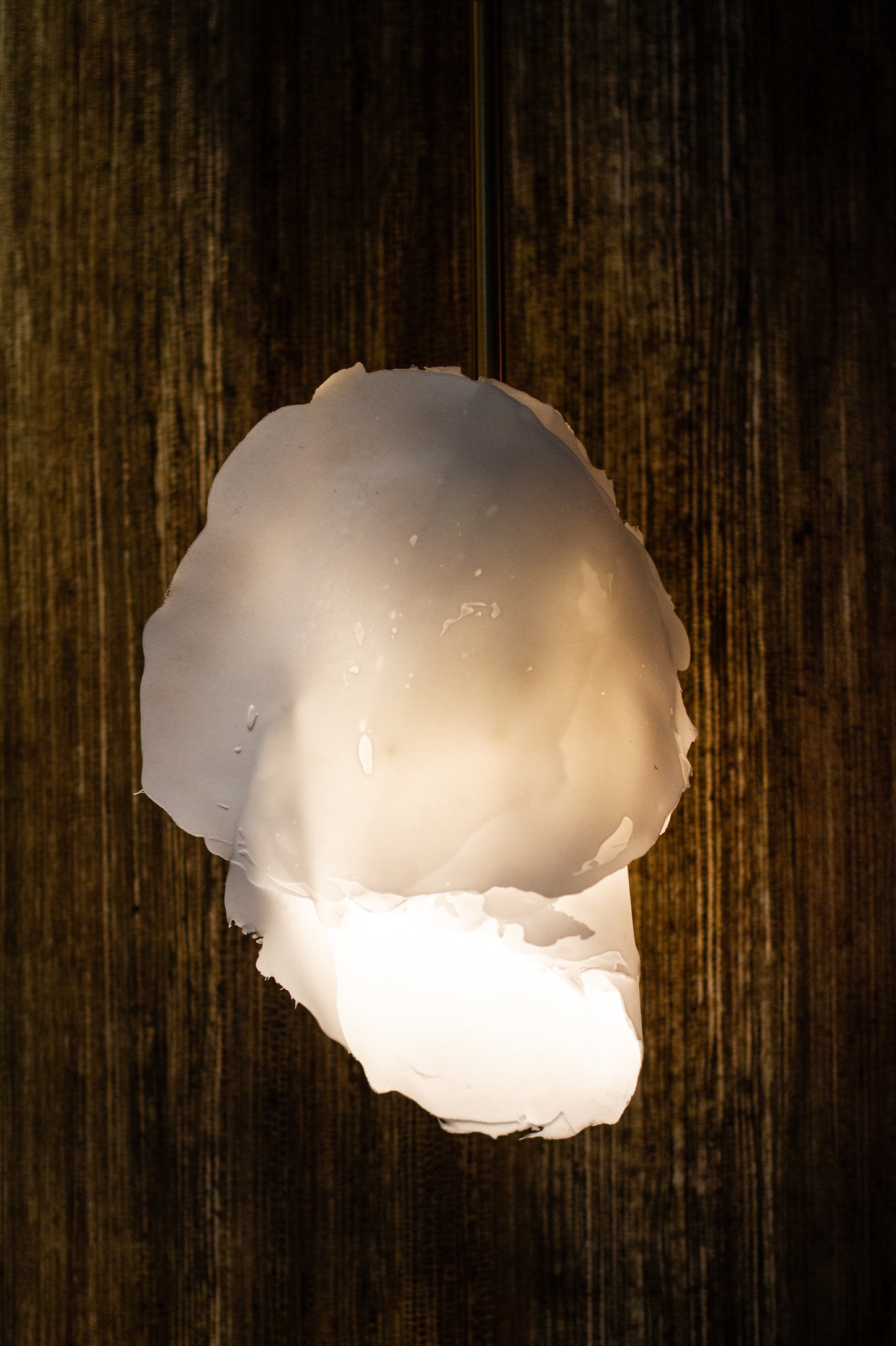 Studio MU - Suspension - Fungia
