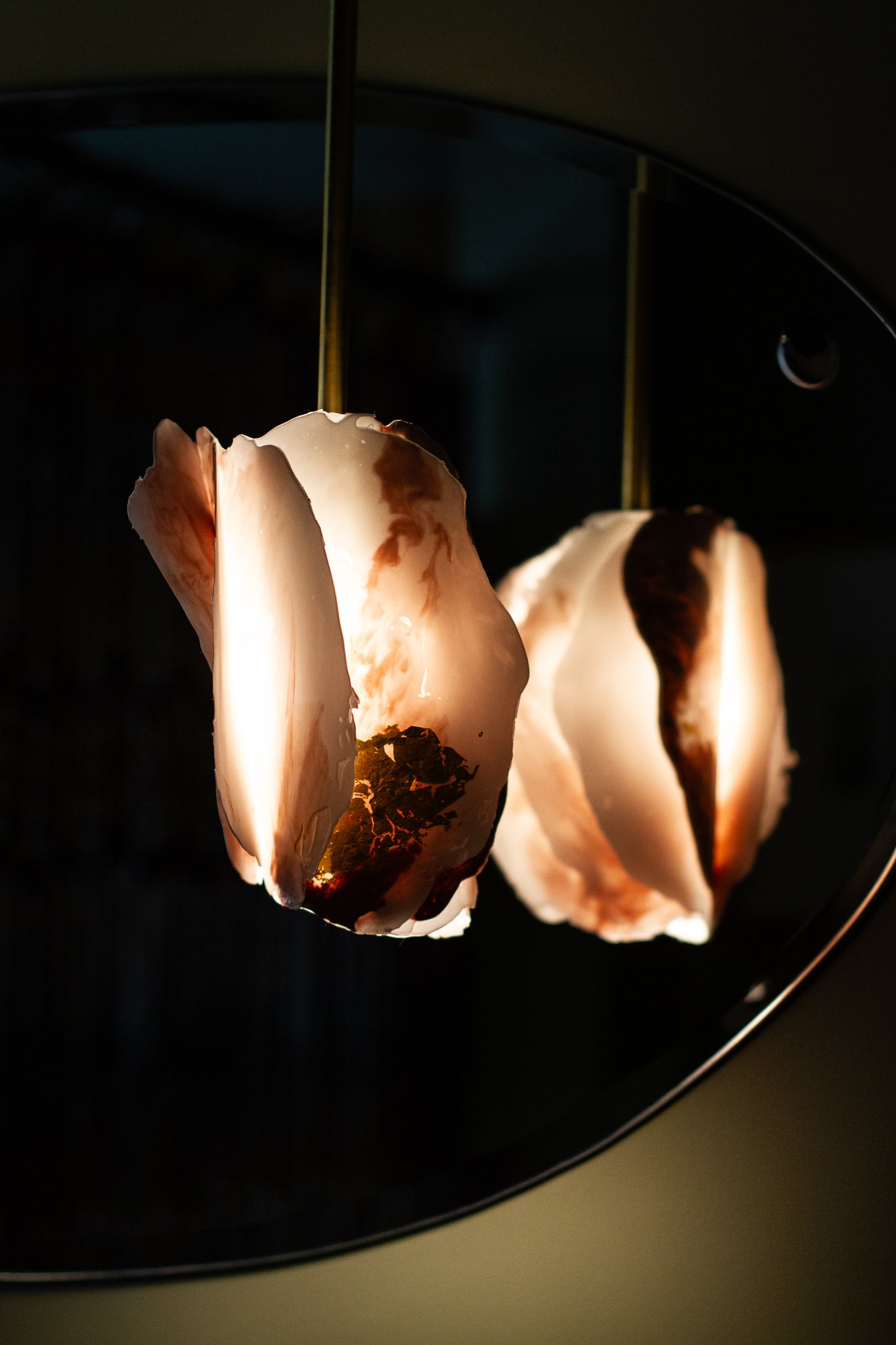 Studio MU - Suspension - Fungia