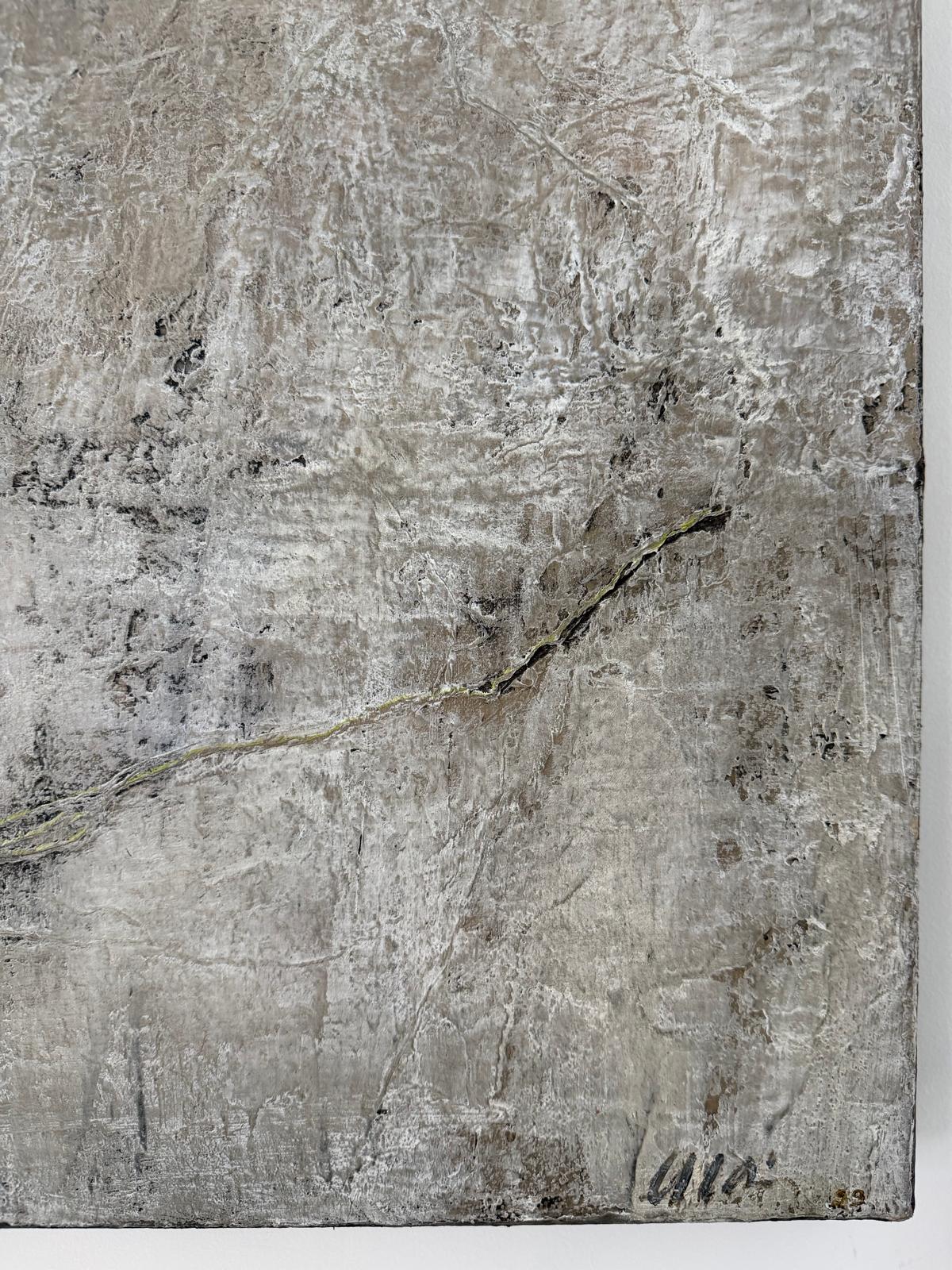 Serge Allain - Huile sur Toile - N°8 Ancre de Chine