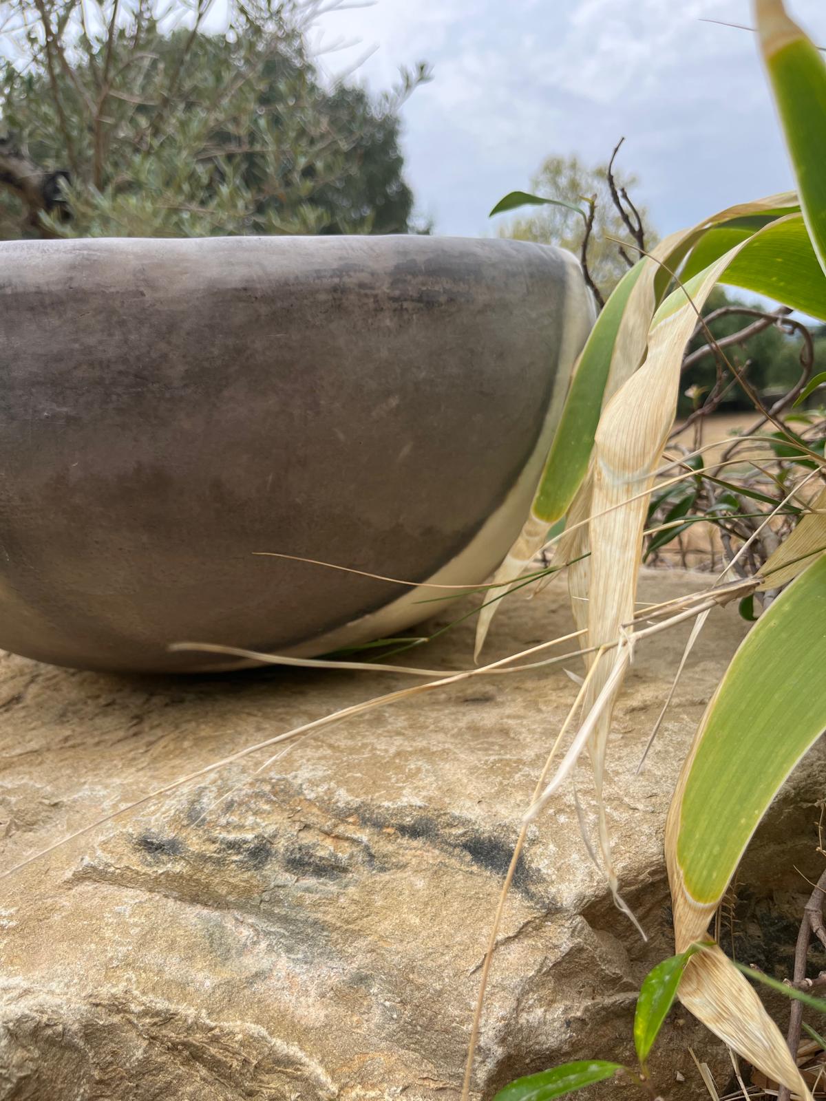 COUPE DEMI-SPHÈRE, Hannah André