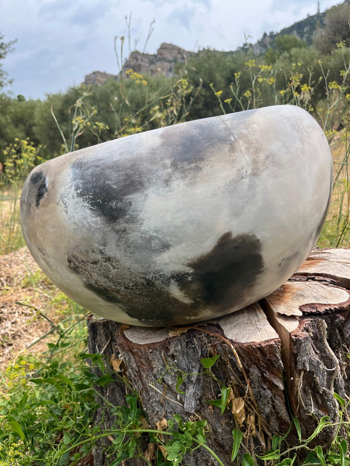 COUPE DEMI-SPHÈRE, Hannah André