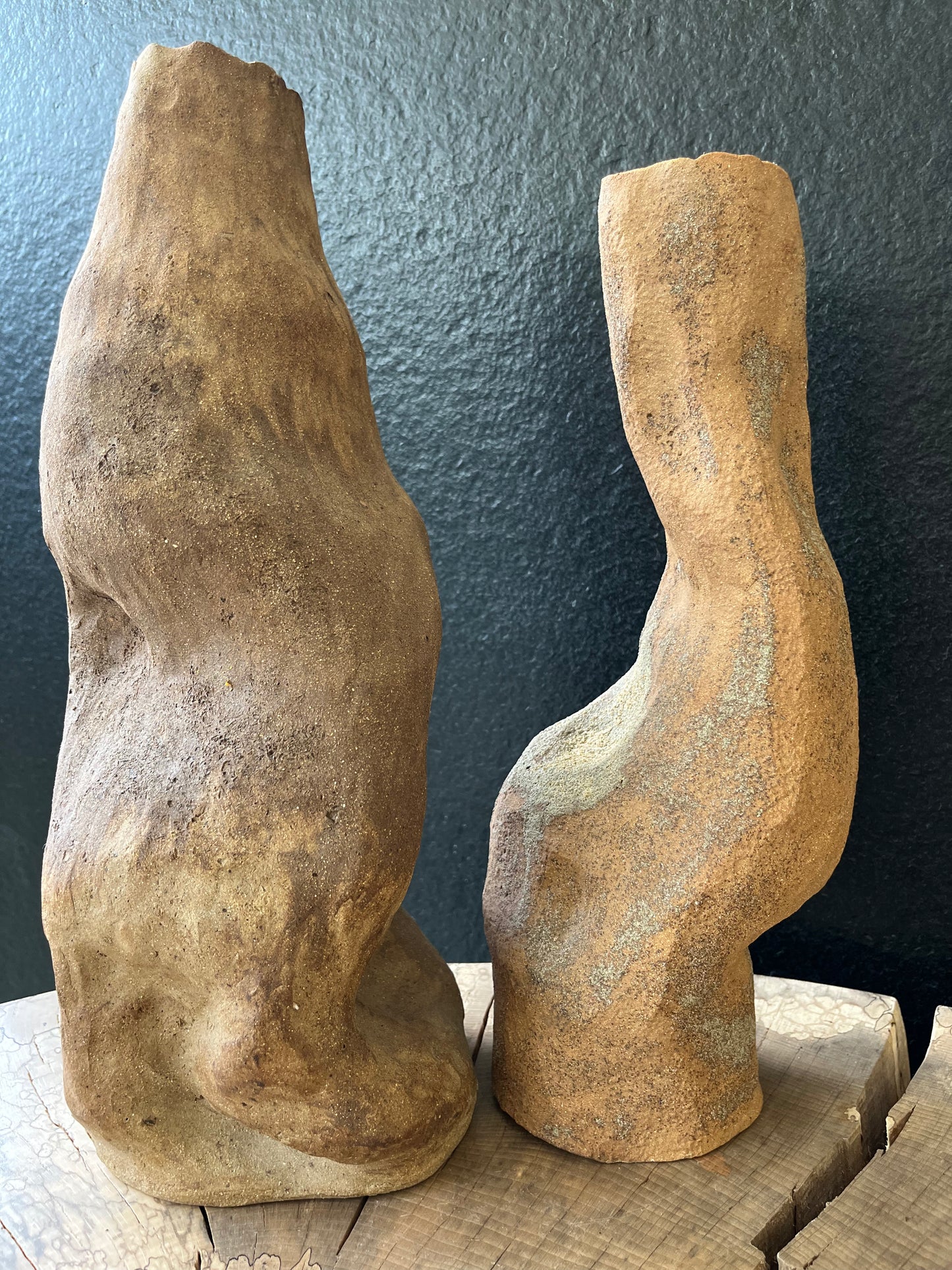 Thaïs Loret - Sculpture/Vase - Branche