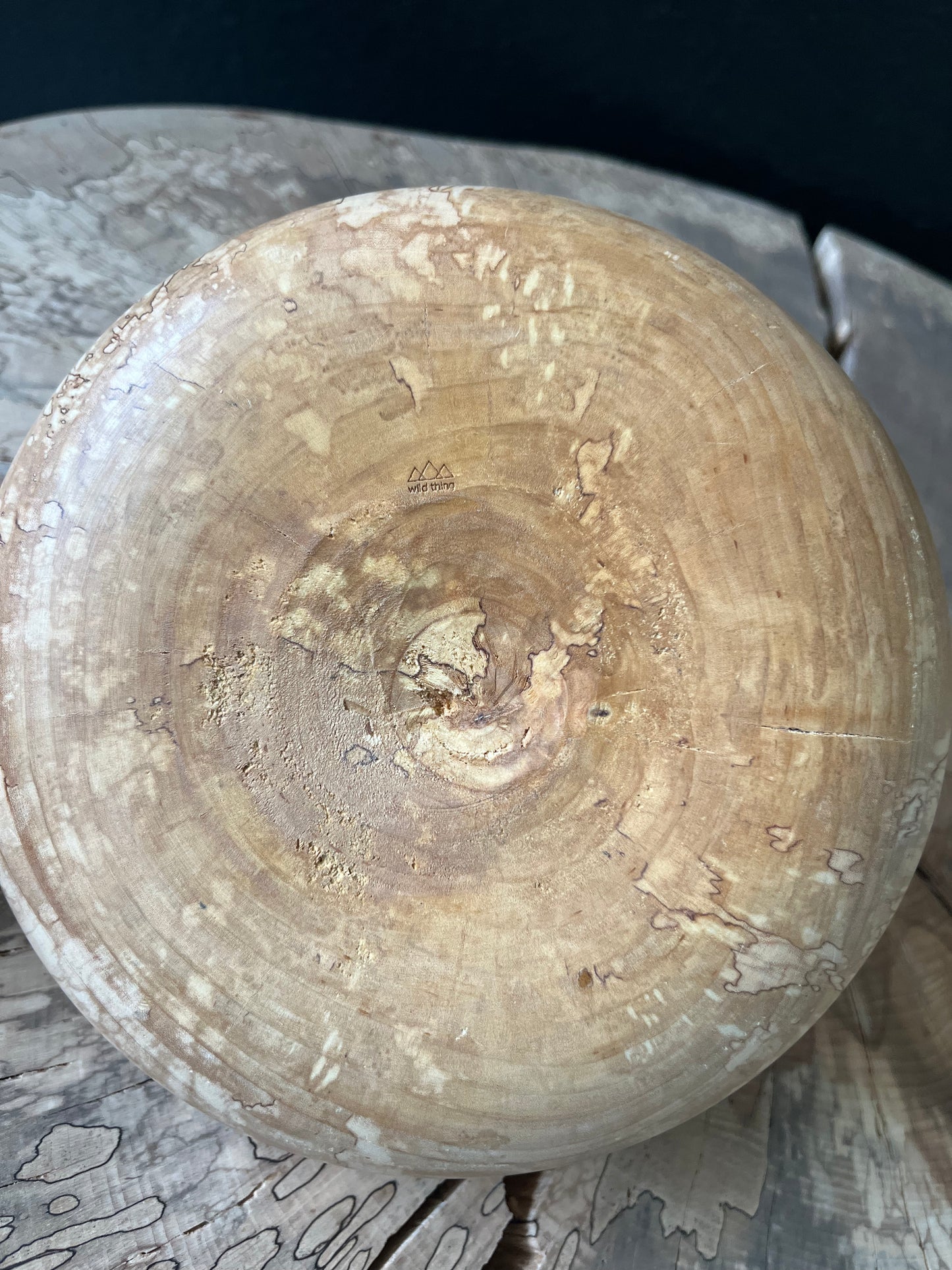 Lorien Cau - Vase - Bois de Bouleau Échauffé