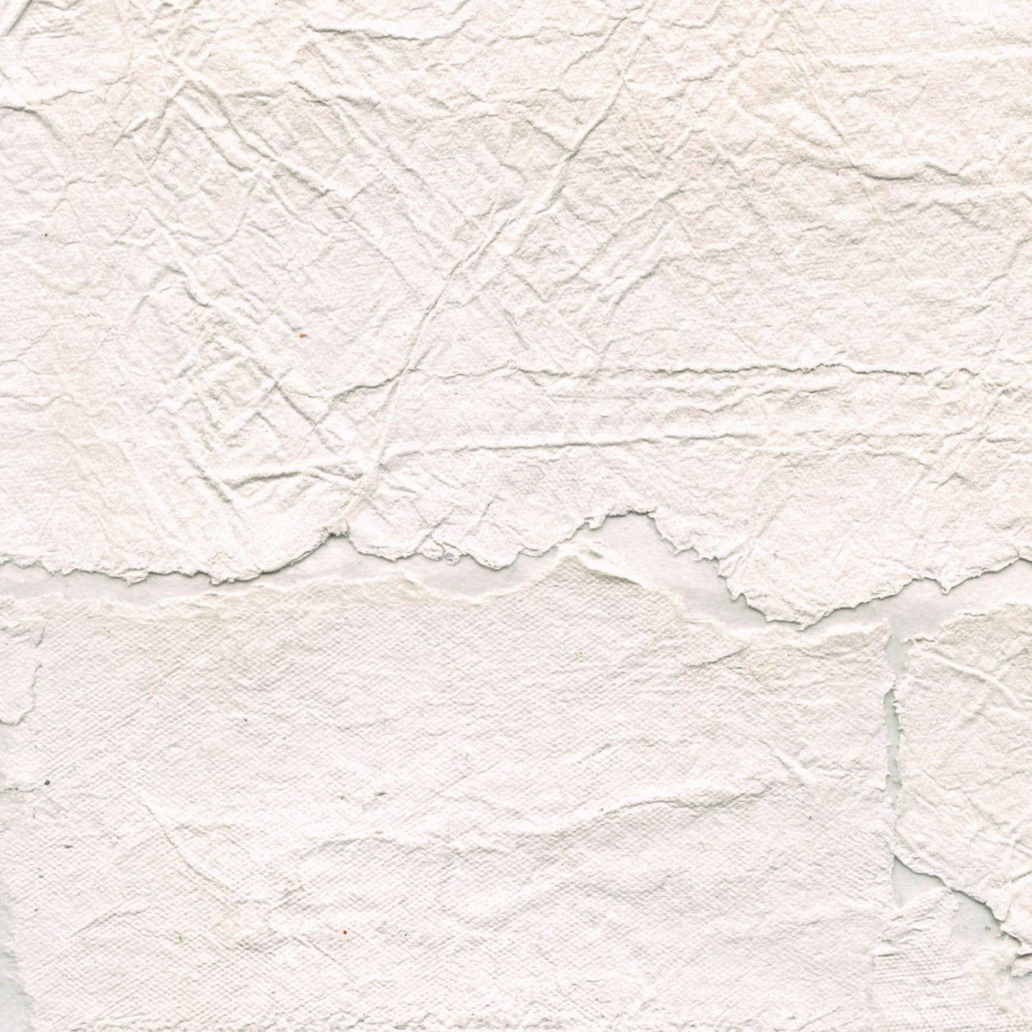 Modèle d'expo - Papier Peint Elitis- Épure Satoyama Troublante Transparence