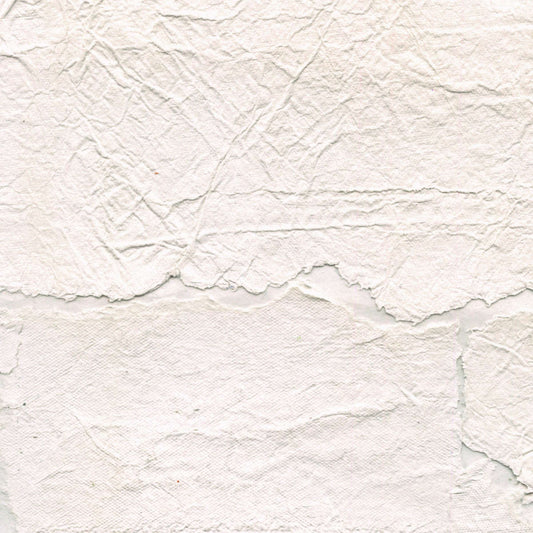 Modèle d'expo. Papier peint Épure Satoyama Troublante transparence