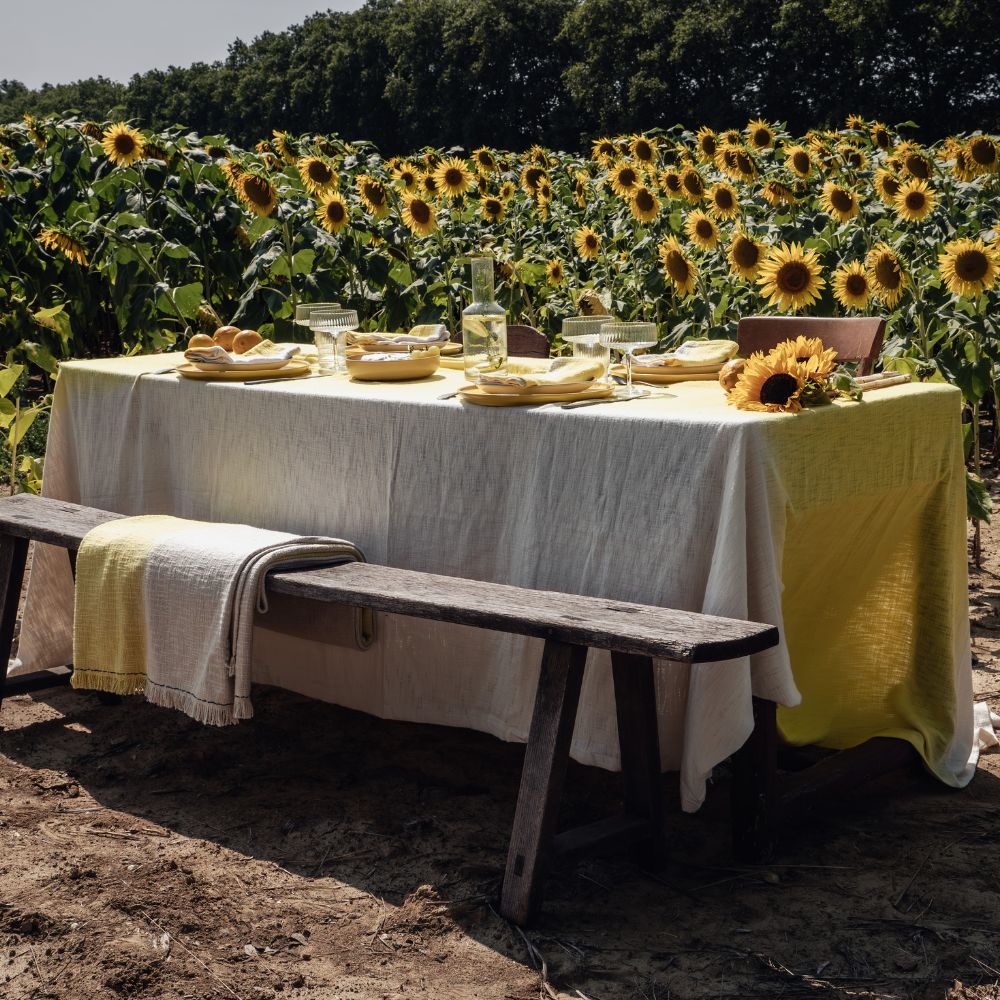 Bed&Philosophy - x10 Serviettes de Table - TATIN Citrus