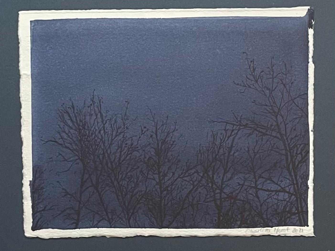 Charlotte Morot - Encre sur Papier - Nuit d'Hiver