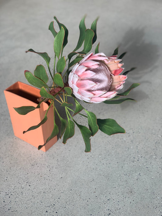 Carafe brique toulousaine Emilie Cazin